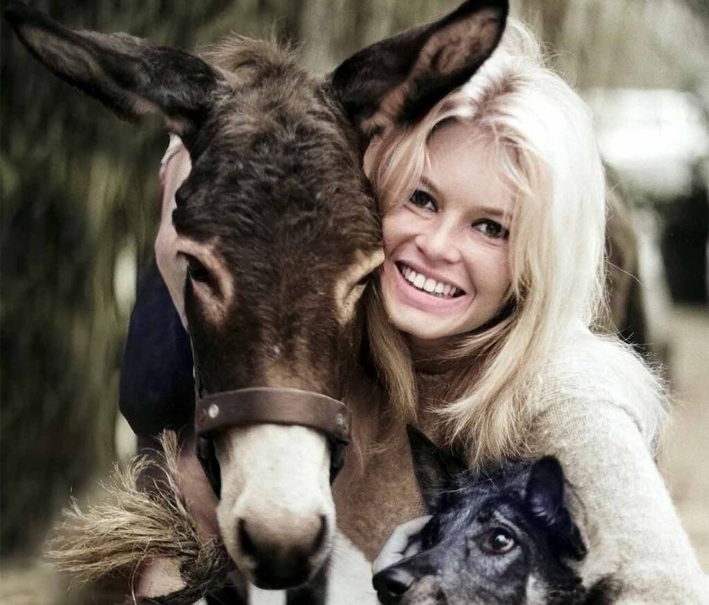 Brigitte Bardot avec un âne et un chien